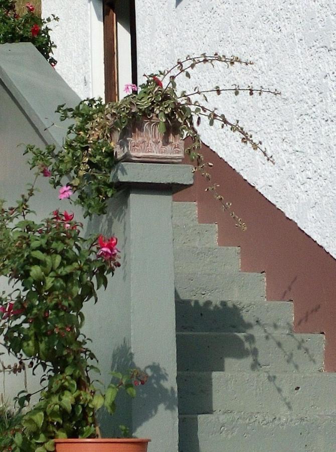 Ferienhaus Gassner Navis Exterior foto